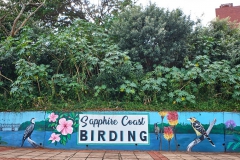 081-Mural-Toti-Birding-pg22