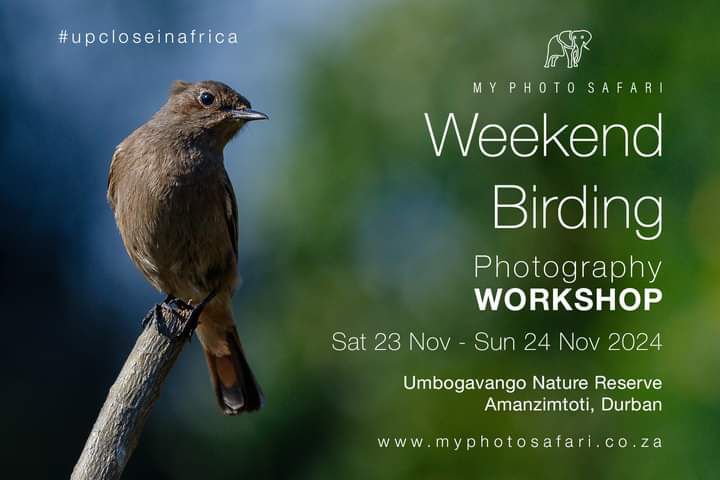 Birding Photography Workshop