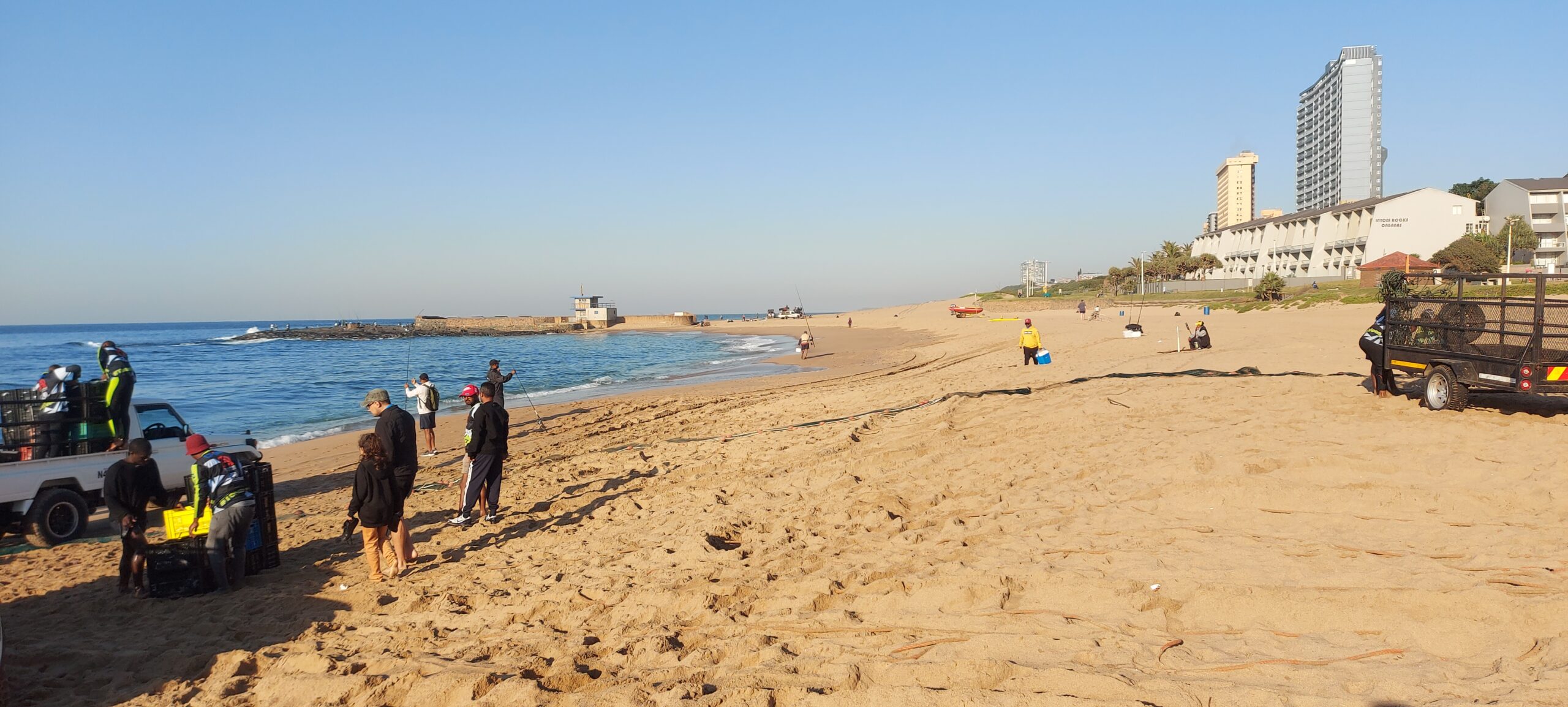 Sapphire Coast Tourism Sardine Run Toti Beach 2025 (2)