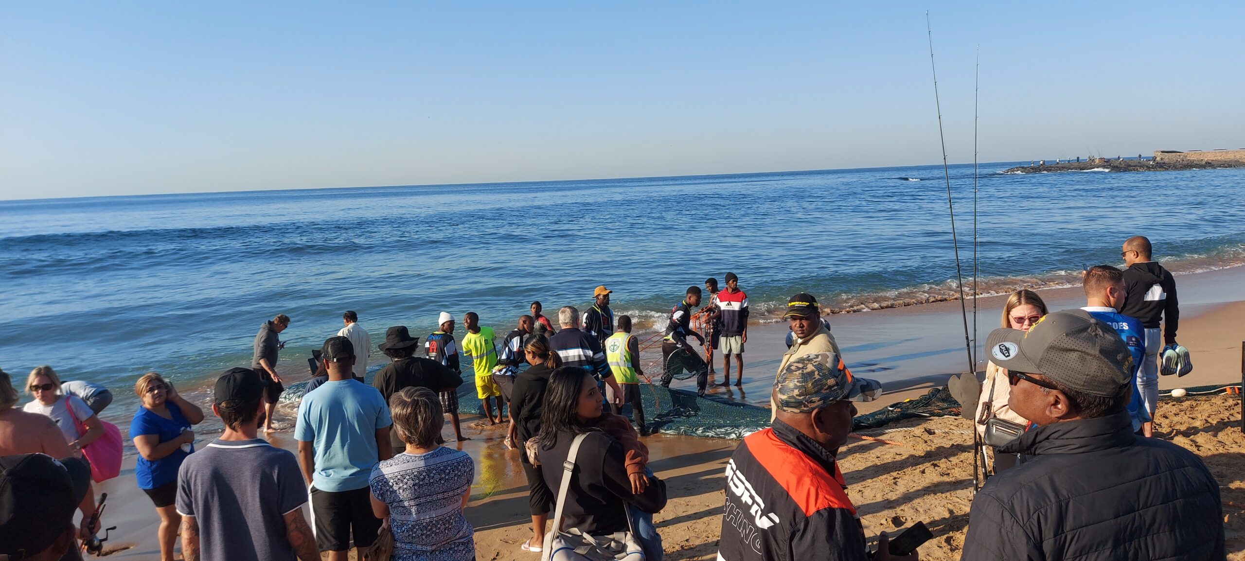 Sapphire Coast Tourism Sardine Run Toti Beach 2025 (3)